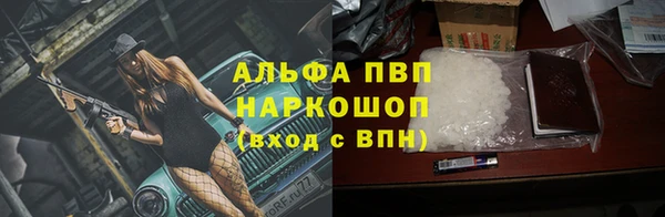 винт Верея