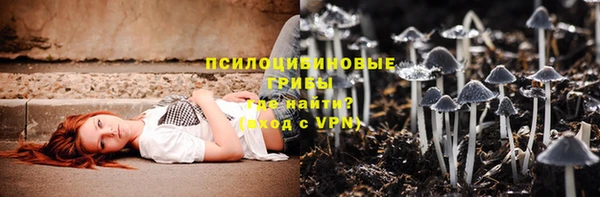 винт Верея