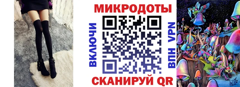 продажа наркотиков  Гвардейск  Галлюциногенные грибы GOLDEN TEACHER 